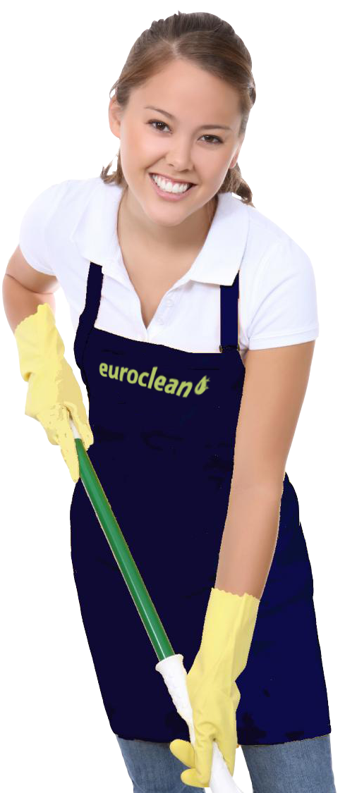 Cleaner with mop
